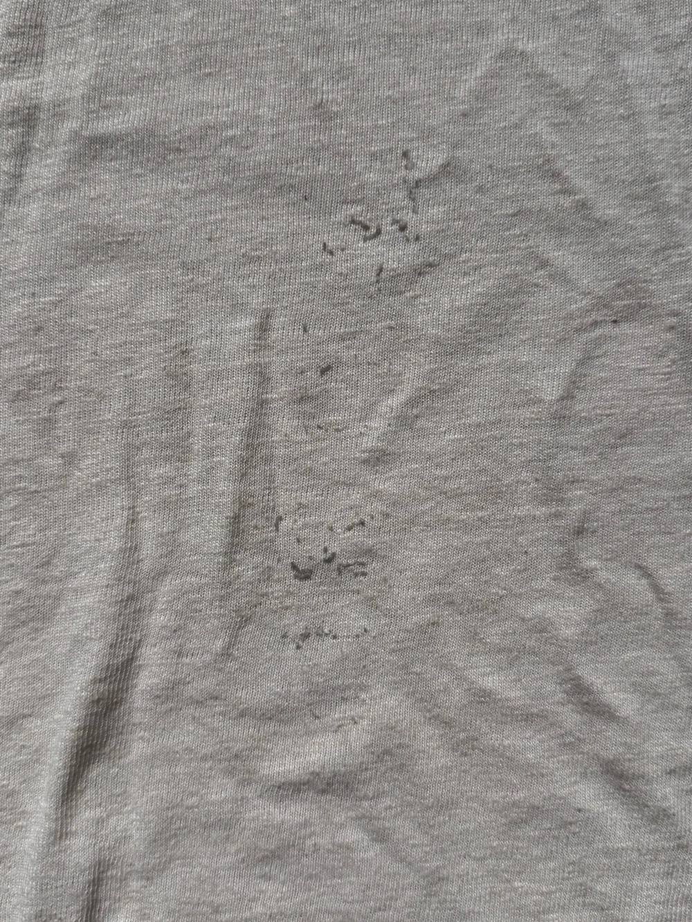 Banana Republic soft short